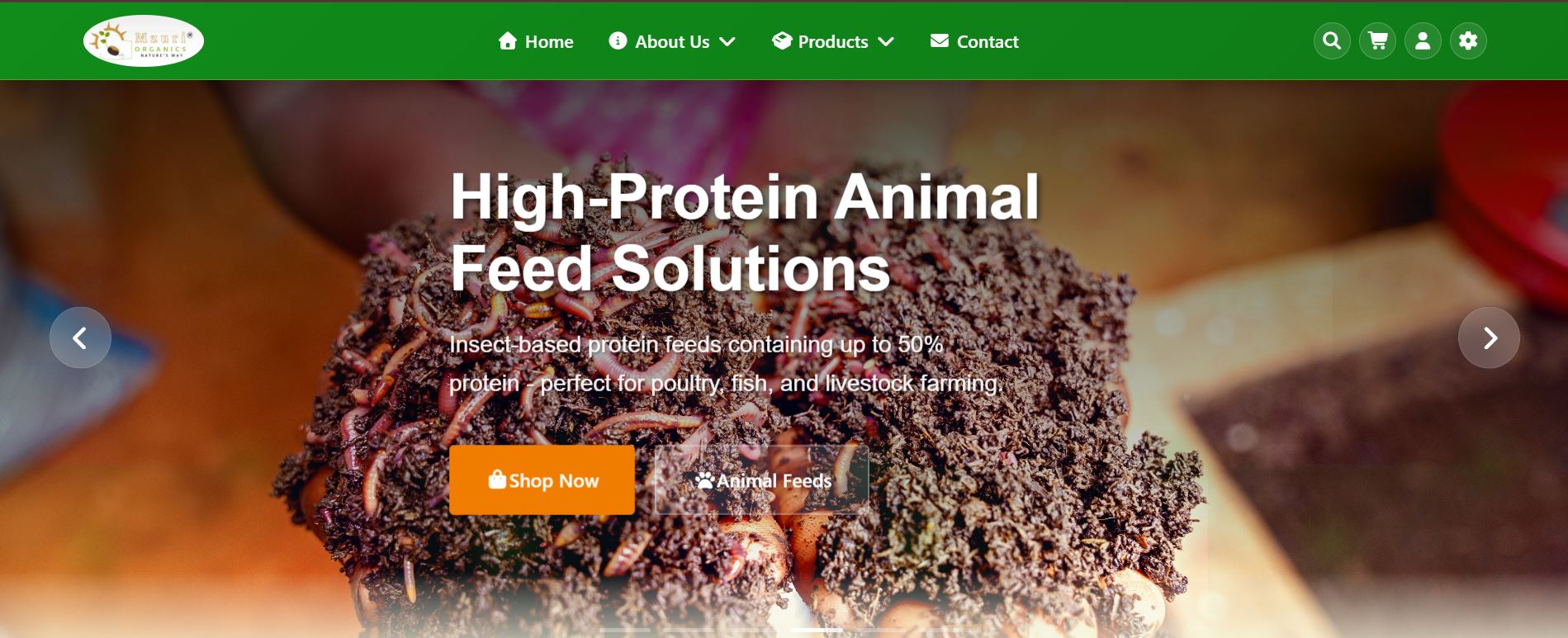 Mzuri Organics E-commerce